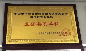 China Varistor Association